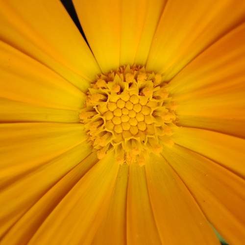 Photo #9867847
