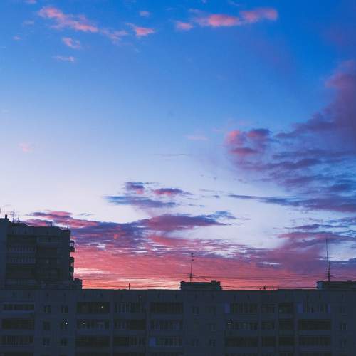 Photo #9867978
