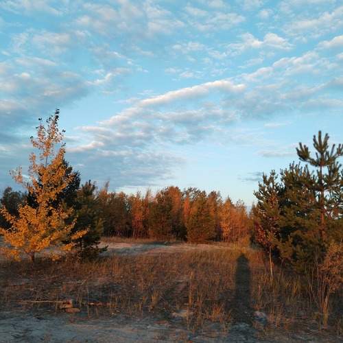 Photo #9867995