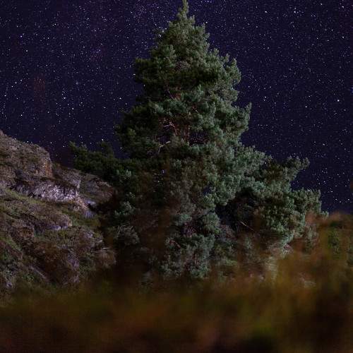 Photo #9868014