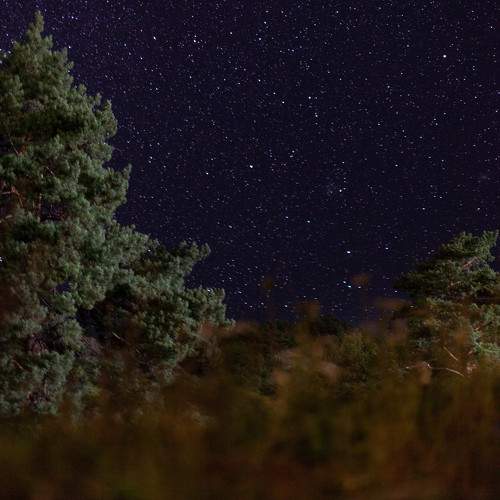 Photo #9868015