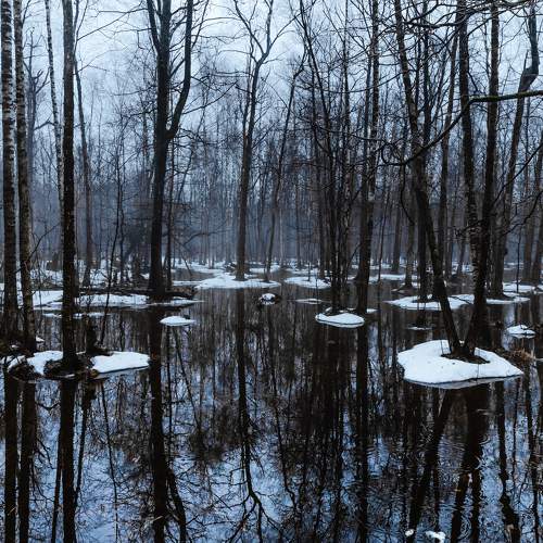 Photo #9868544