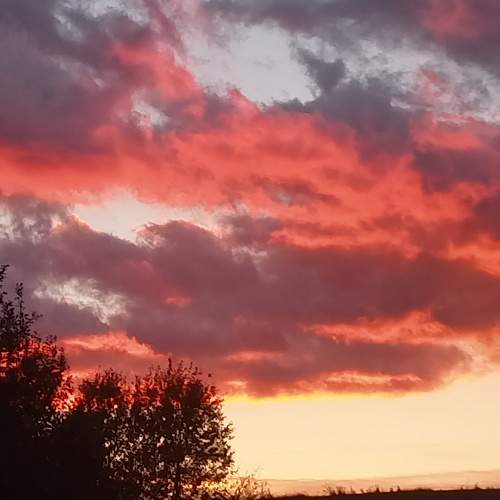 Photo #9868558