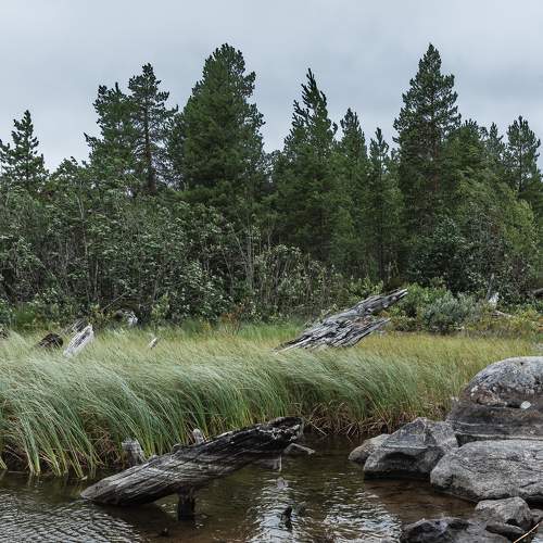 Photo #9868576