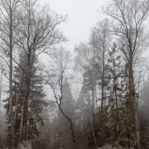 Photo #9868594
