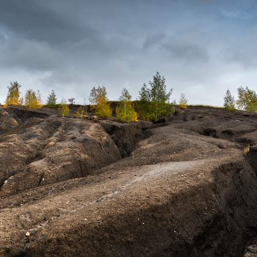 Photo #9868677