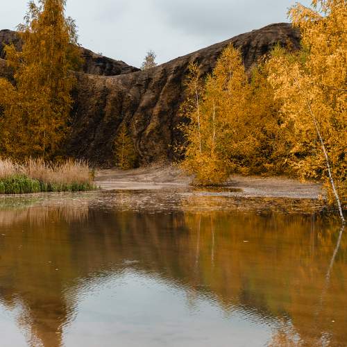 Photo #9868707