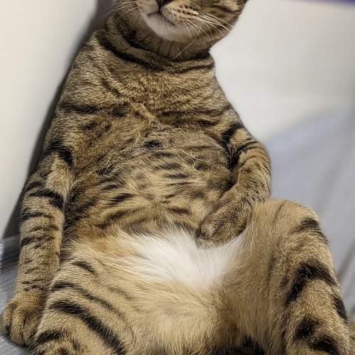 Photo #9868880
