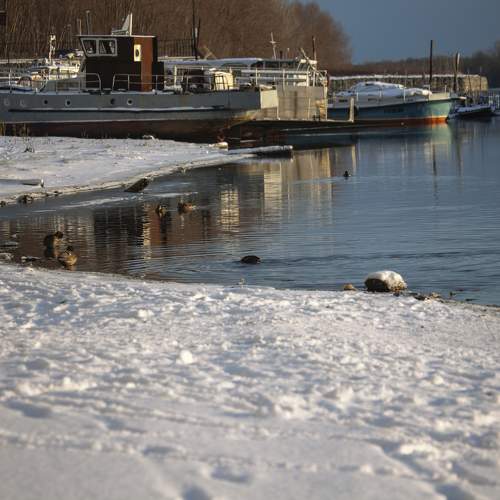 Photo #9868904