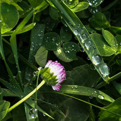 Photo #9868905