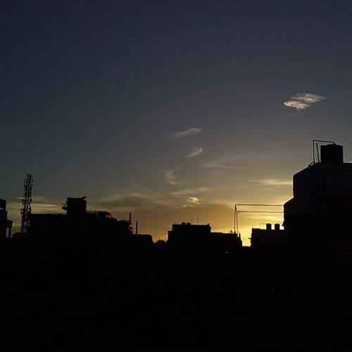 Photo #9868927