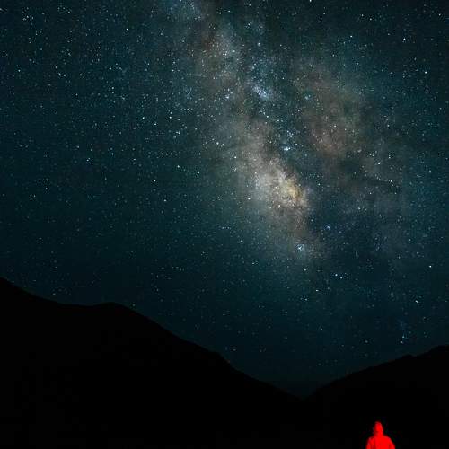 Photo #9869083