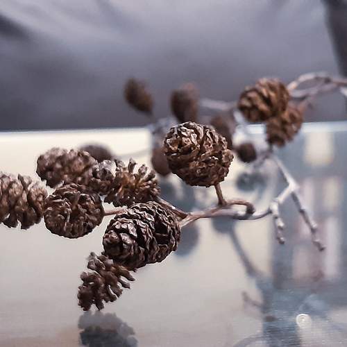 Photo #9869212