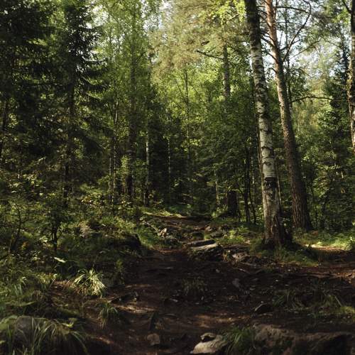 Photo #9869245