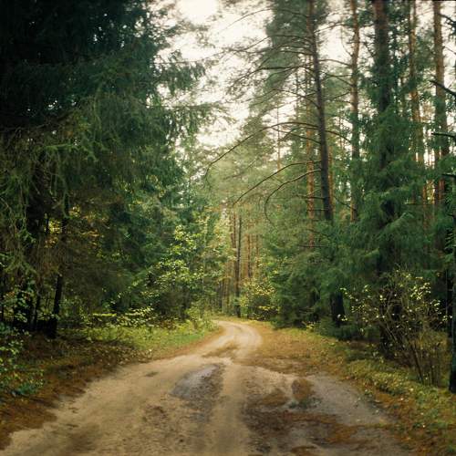 Photo #9869256