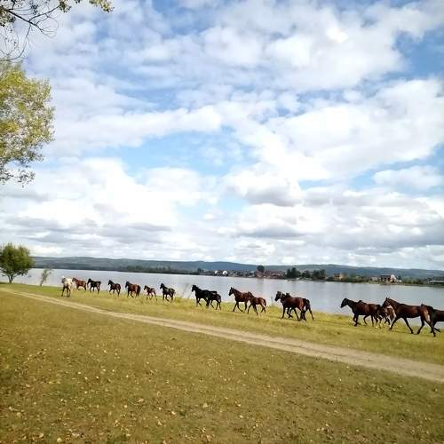 Photo #9869297