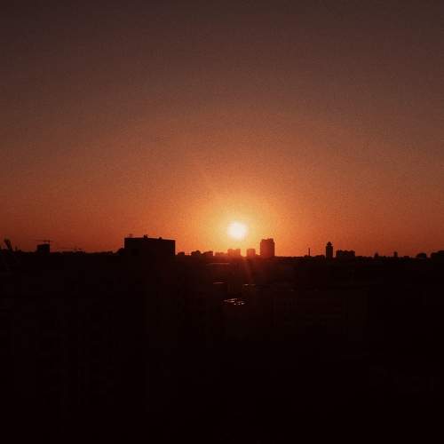 Photo #9869480
