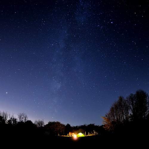 Photo #9869852