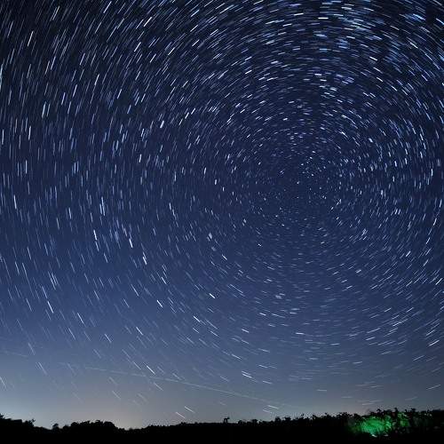 Photo #9869863