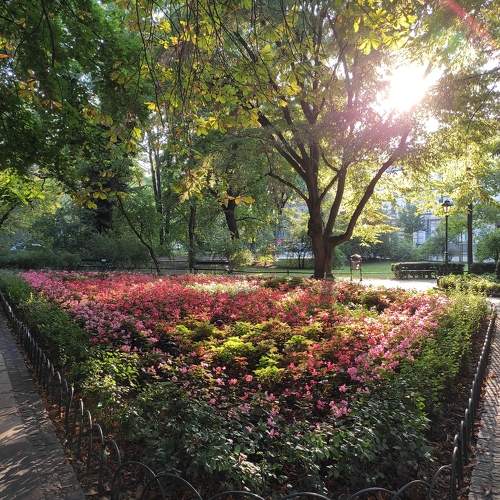 Photo #9869953