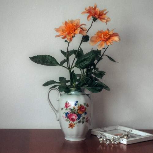 Photo #9870213
