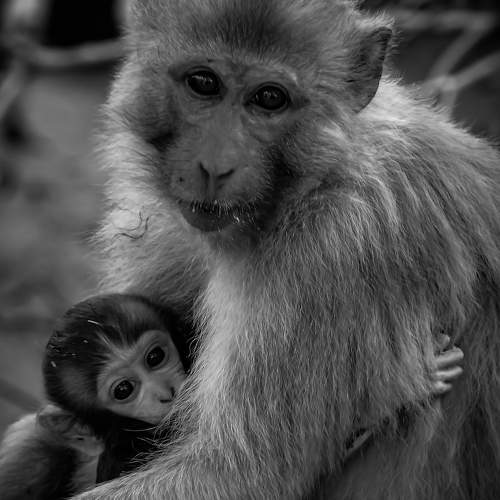 Photo #9870594