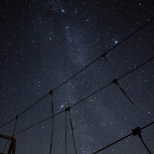 Photo #9871306