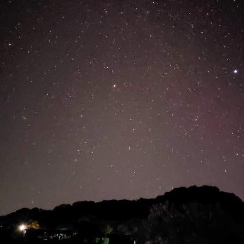 Photo #9871318