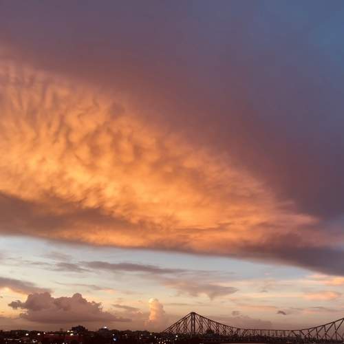 Photo #9871711