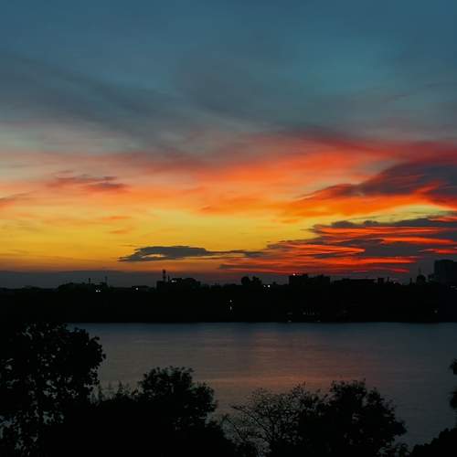 Photo #9871714