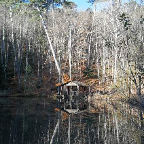Photo #9871860