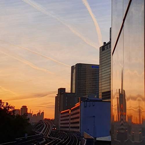 Photo #9871930