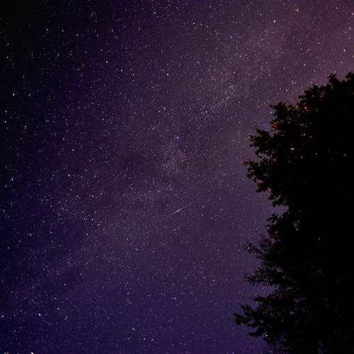 Photo #9872068