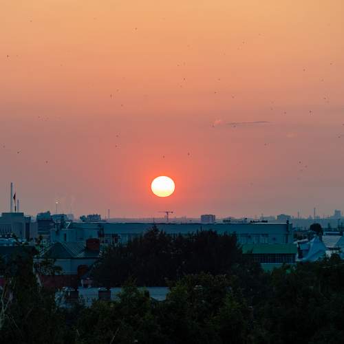 Photo #9872366