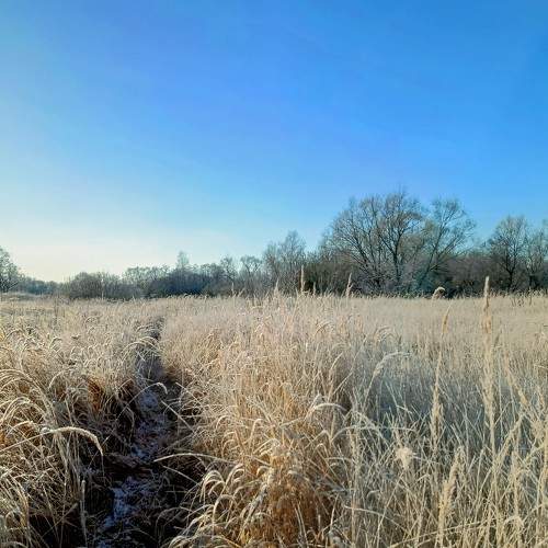 Photo #9872500