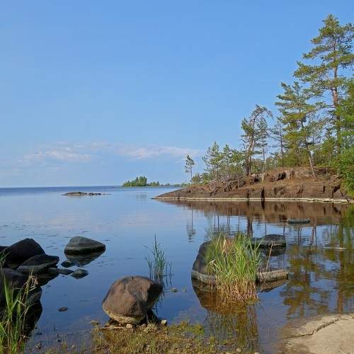Photo #9872517