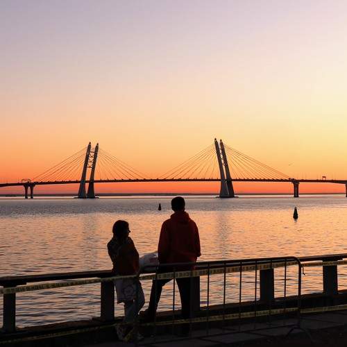 Photo #9872642