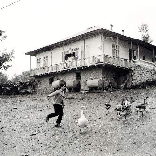 Photo #9872735
