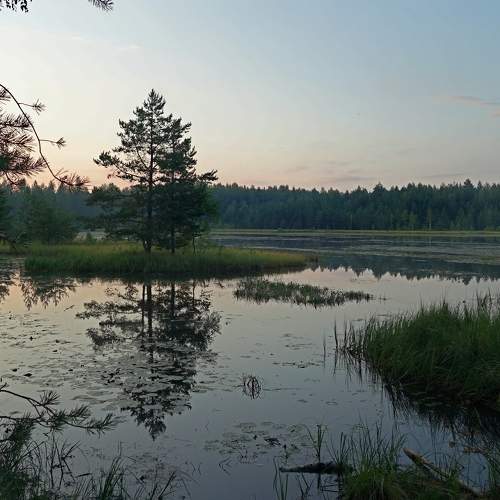 Photo #9872795