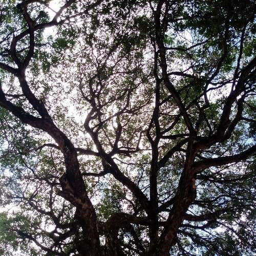 Photo #9872859