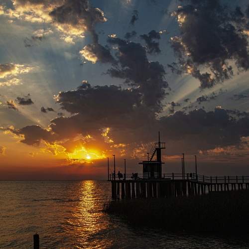 Photo #9873489