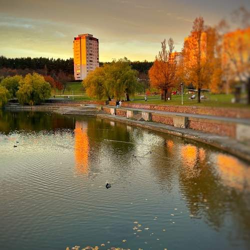 Photo #9873560