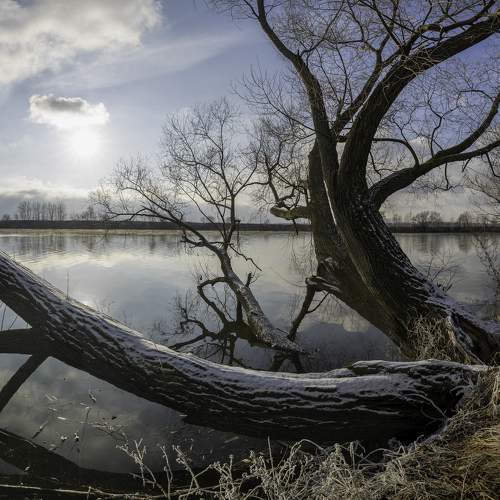 Photo #9873873