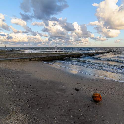 Photo #9873944