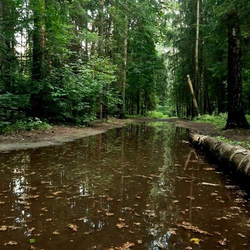 Photo #9874078