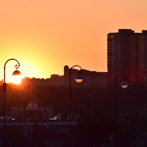 Photo #9874216