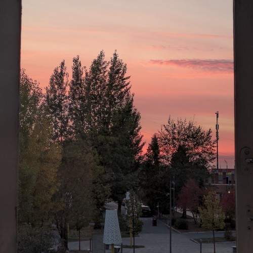 Photo #9874256