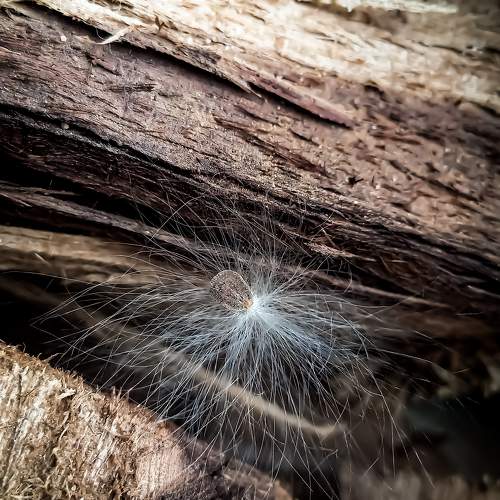 Photo #9874776