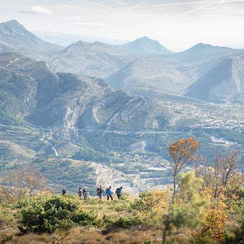 Photo #9874882
