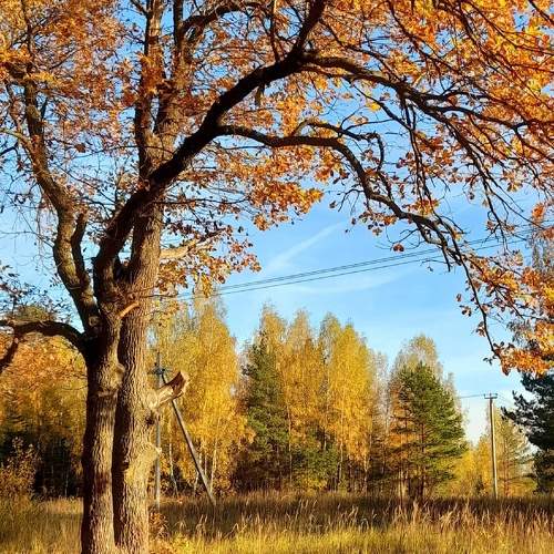 Photo #9874911